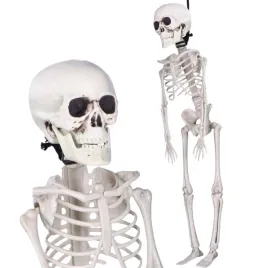 szkielet-czlowieka-sztuczny-kosciotrup-wiszacy-dekoracja-na-halloween-40cm