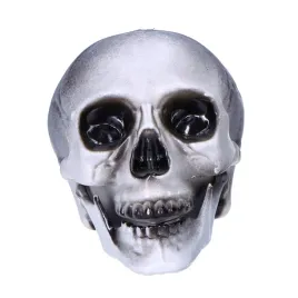 czaszka-ludzka-czacha-straszna-dekoracja-ozdoba-szara-halloween-20cm