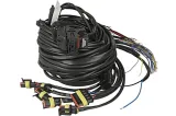 eg-injecto-48-4-elektronika-typ-silnika-benzyna-diesel-brak-informacji