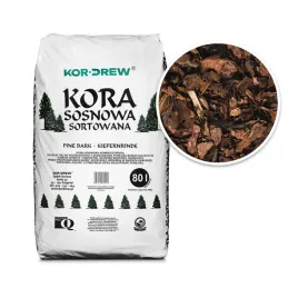 kora-sosnowa