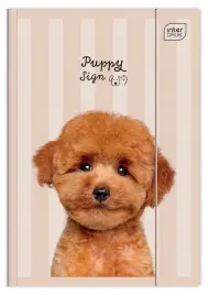 teczka-z-gumka-a4-lux-uv-puppy-sign-interdruk-rozne-wzory-zwierzeta