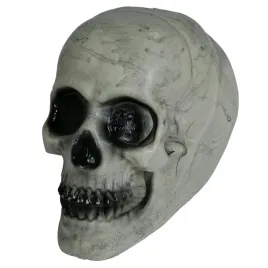 czaszka-czacha-ludzka-sztuczna-szara-dekoracja-na-halloween-20cm