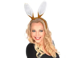 uszy-zajaca-krolik-bunny