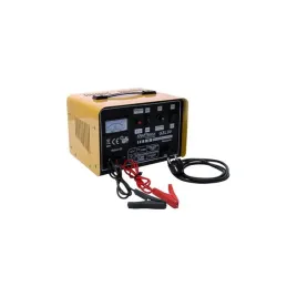 2x-prostownik-mikroprocesorowy-samochodowy-ladowarka-30a-12-24v-90-250ah