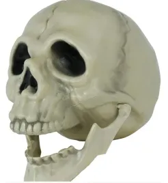 czaszka-dekoracyjna-13-cm-realistyczna-ozdoba-halloween