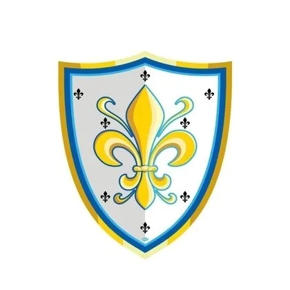 tarcza-rycerska-w-lilie
