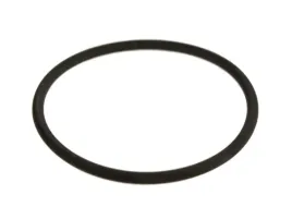 oring-pompy-mlecznej-gm2