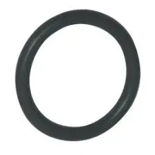 oring-solenoidu-191x16