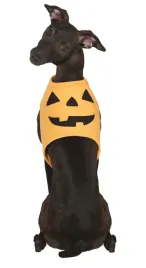 ubranko-dla-psa-dynia-s-pomaranczowe-halloween