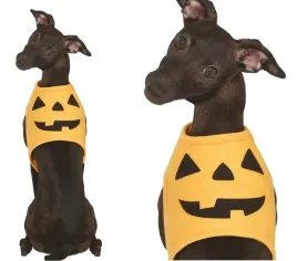 ubranko-dla-psa-dynia-m-halloween-pomaranczowy