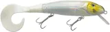 2x-quantum-3209007-wobler