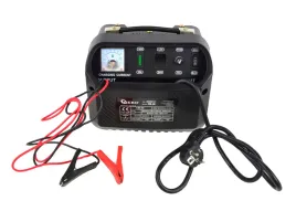 2x-prostownik-akumulatorowy-ladowarka-12v-24v-30a