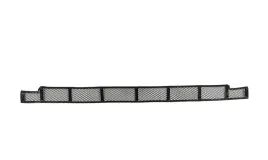 2x-oe-fiat-kratka-grill-zderzaka-ducato-06-14