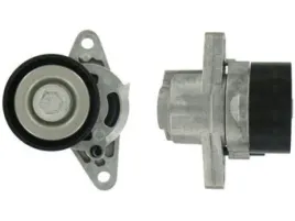 2x-napinacz-paska-wielorowkowego-skf-vkm-36020