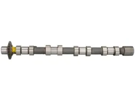 2x-walek-rozrzadu-kolbenschmidt-50-007-707