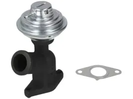 2x-zawor-egr-pierburg-7-22843-06-0
