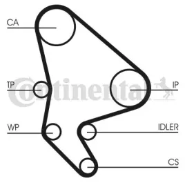 2x-rozrzad-kpl-pasek-rolka-pompa-cieczy-contitech-ct-986-wp2