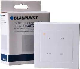 2x-blaupunkt-przelacznik-scenariuszy-do-alarm-q