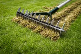 2x-wertykulator-reczny-aerator-do-trawnika-45-cm-na-kolkach-greenmill