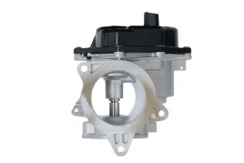2x-zawor-egr-valeo-val700448