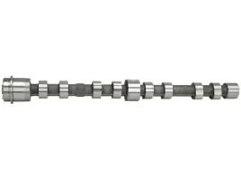 2x-walek-rozrzadu-kolbenschmidt-50-007-047