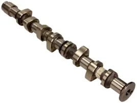 2x-walek-rozrzadu-kolbenschmidt-50-006-381