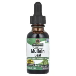 mullein-leaf-nature-s-answer-2000mg-30-ml