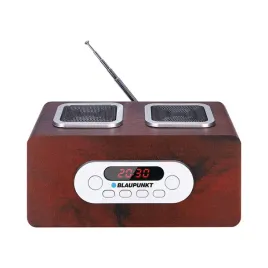 2x-radio-blaupunkt-pp5br