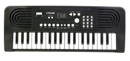 2x-duze-organki-keyboard-z-mikrofonem
