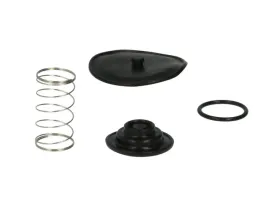 2x-zestaw-naprawczy-kranika-paliwa-honda-gl-1500-1997-tourmax-fck-41