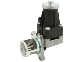 2x-zawor-egr-engitech-ent500111