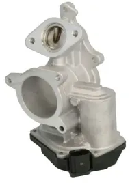 2x-zawor-egr-pierburg-7-10334-10-0