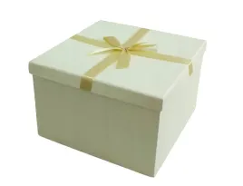 2x-pudelko-pudlo-na-prezent-pojemnik-karton-15x22-5