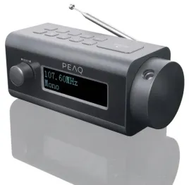 2x-radio-peaq-pcr-170-dab-szary