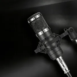 2x-mikrofon-pojemnosciowy-usb-do-glosu-podcastu-192khz-karta-dzwiekowa-miks
