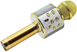 2x-mikrofon-karaoke-manta-mic10-g-zloty