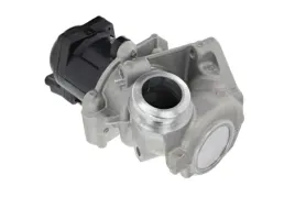 2x-zawor-egr-valeo-val700474