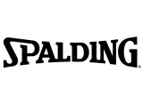 2x-pilka-do-koszykowki-spalding-slam-dunk-r-5-stan-nowy