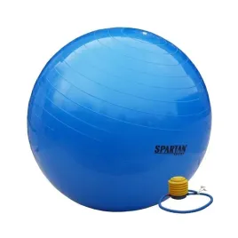 2x-pilka-gimnastyczna-fitness-spartan-55-cm-niebieska