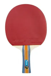2x-rakieta-paletka-do-tenisa-stolowego-ping-pong-atemi-anatomi-700