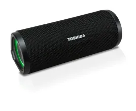 2x-glosnik-bezprzewodowy-toshiba-ty-wsp102