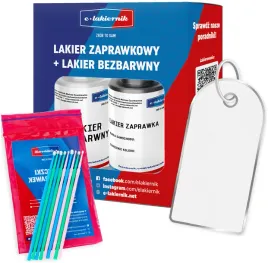 2x-lakier-zaprawka-bezbarwny-patyczki-zaprawkowe-renault-369-blanc-glac