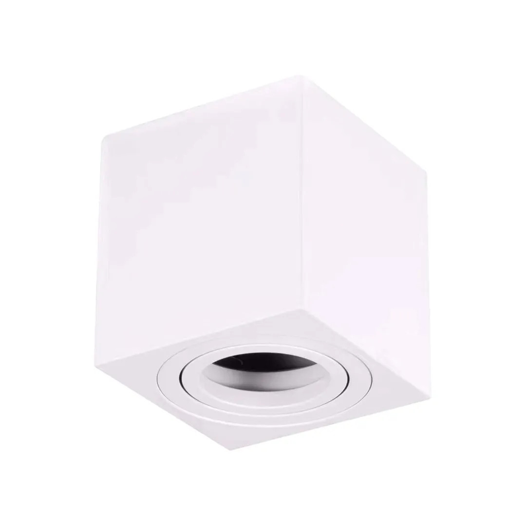 2x-spot-bima-square-bialy-1xgu10