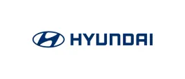 2x-klamka-drzwi-oe-hyundai-8145059000