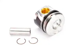 2x-tlok-mahle-030-58-00