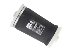 2x-miech-zawieszenia-pneumatycznego-bilstein1-40-221595