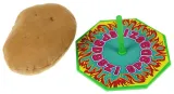 2x-goracy-ziemniak-junior-14136-plec-chlopcy-dziewczynki