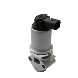 2x-zawor-egr-magneti-marelli-571822112018