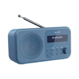 2x-radio-sharp-tokyo-dr-p420-bl