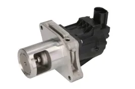 2x-zawor-egr-pierburg-7-24809-81-0